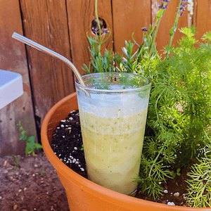 Rainbow smoothie by plant 