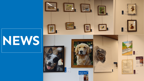 Photos of paintings on a wall