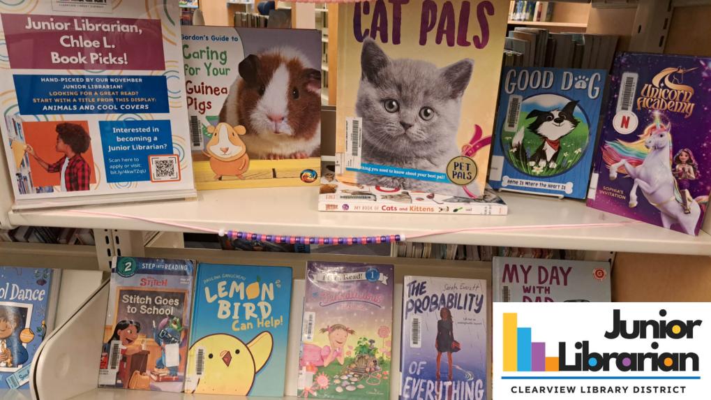 Bok display in a library