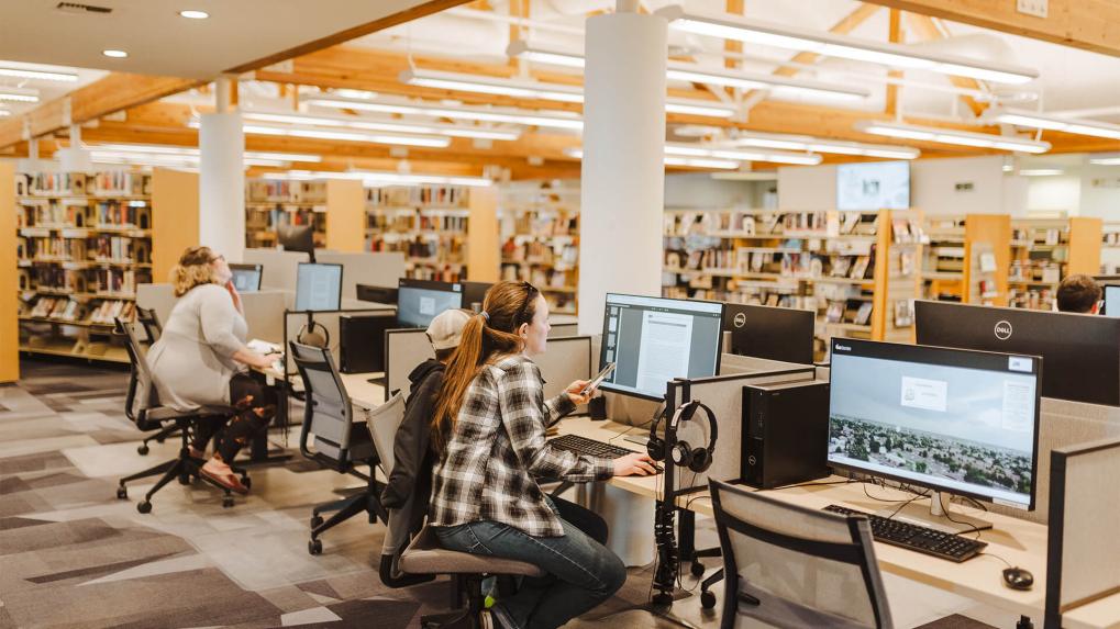 People working at computers in a library