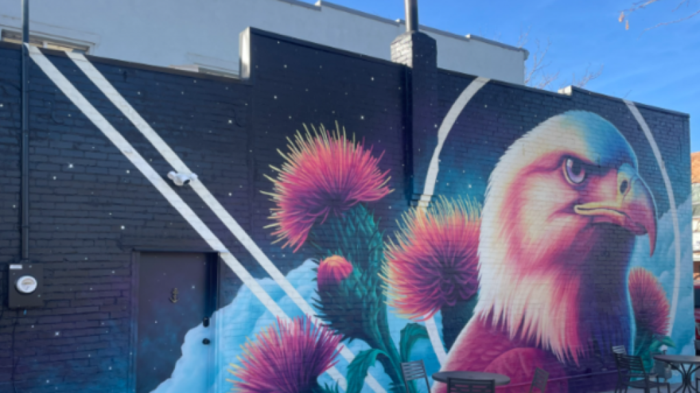 Colors of Windsor Scavenger Hunt Launch mural on building wall of bird